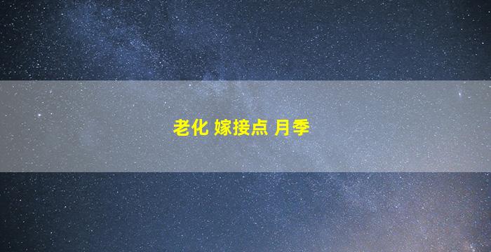 老化 嫁接点 月季